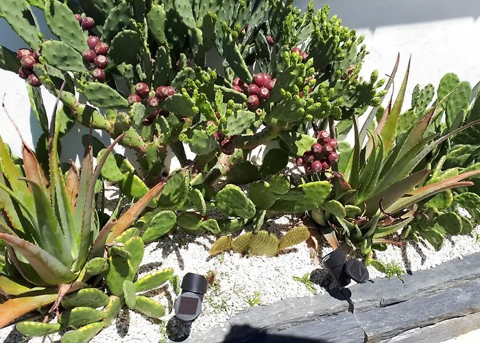 Zure Ondoan - Et Piscine Chauffée Chalet